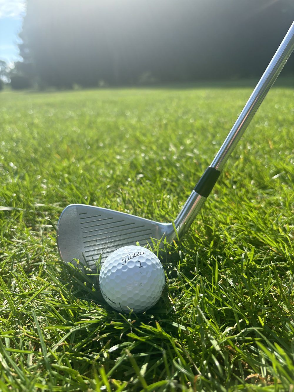 A golf ball on the fairway beside an iron